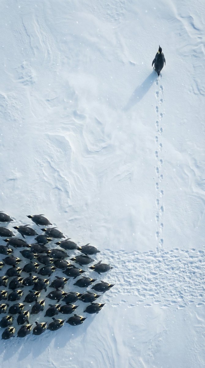 umreye gidenler 
nişanlananlar 
atananlar 
yaza düğünü olanlar    /    ben