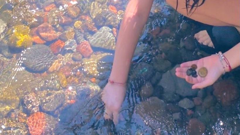 duda ⚢ tweet media