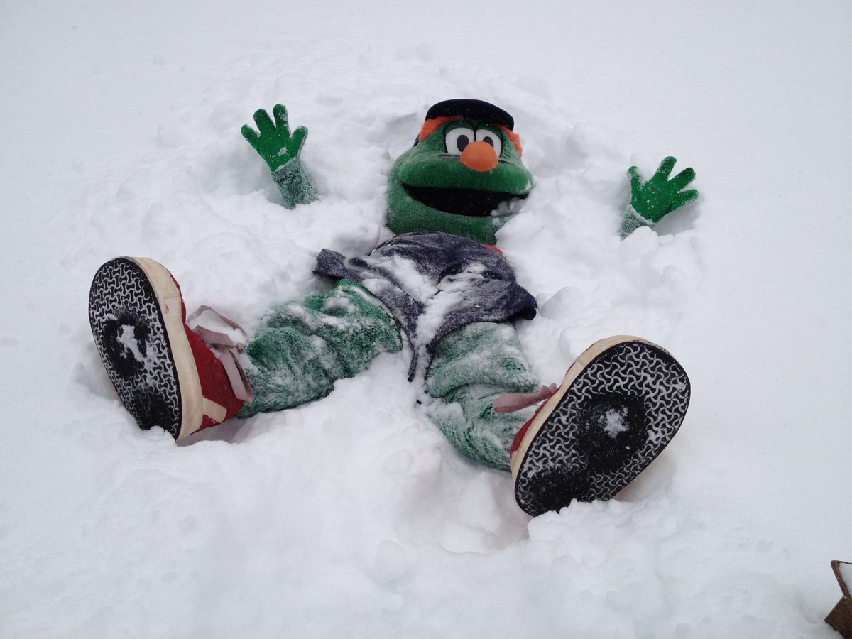 Tyler Leighton tweet media