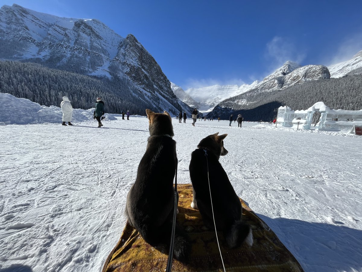 yuko 🍁 tweet media