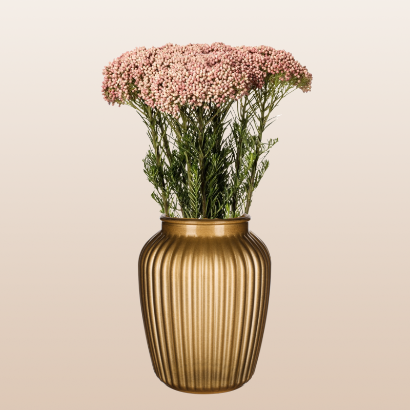 ebloomsdirect's tweet photo. 🤍🌸 Rice Flower White &amp; Pink | Grown in Ecuador
Our Ecuadorian-grown Rice Flowers feature a dense, rounded head made up of hundreds of tiny ivory-white and soft pink blooms.

✨ Elegant and versatile
✨ Excellent vase life
✨ Ideal for weddings and professional floral designs https://t.co/1zw1MjfB30