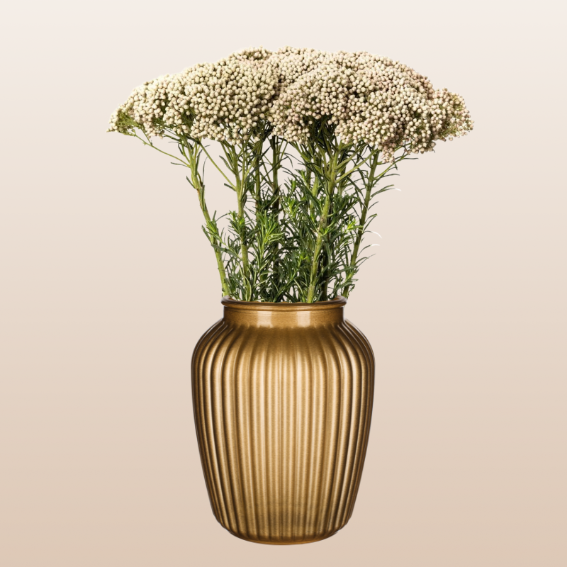ebloomsdirect's tweet photo. 🤍🌸 Rice Flower White &amp; Pink | Grown in Ecuador
Our Ecuadorian-grown Rice Flowers feature a dense, rounded head made up of hundreds of tiny ivory-white and soft pink blooms.

✨ Elegant and versatile
✨ Excellent vase life
✨ Ideal for weddings and professional floral designs https://t.co/1zw1MjfB30