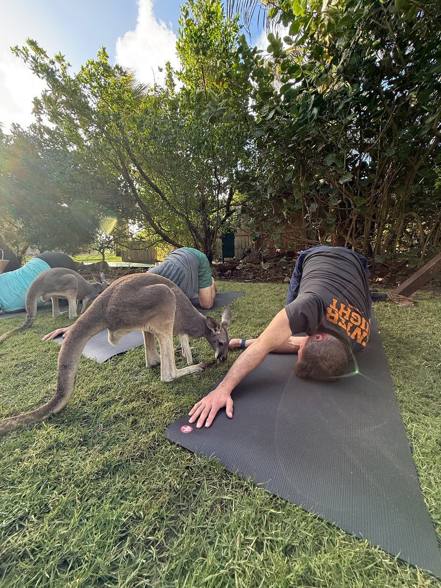 Adam Rossi tweet media