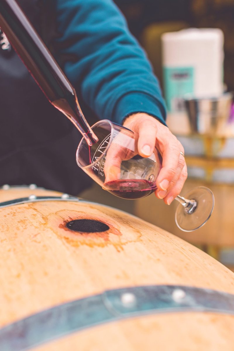 RetzlaffWine's tweet photo. Thinking about joining the Retzlaff Wine Club? This is your moment. 🍷

Our first-quarter wine club pickup is coming up soon, and membership means exclusive releases, member-only perks, and wines you won’t find anywhere else.
Now’s a great time to inquire: https://t.co/T4GHteukv7 https://t.co/0YXi6FGgCd