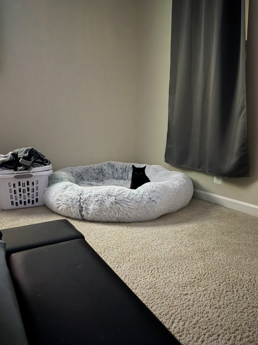 Himbo Icy🇮🇸🇫🇴🇺🇸 tweet media