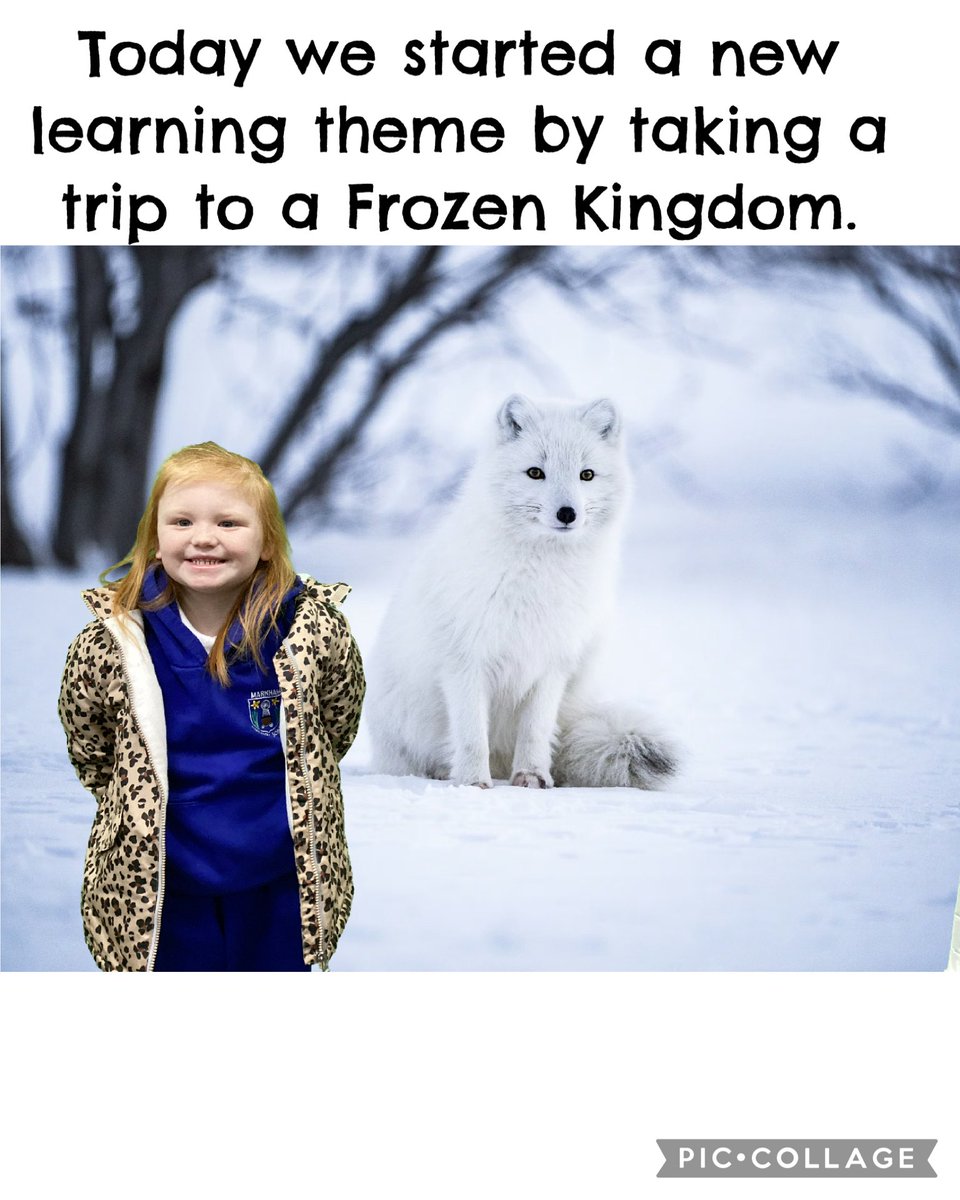 Markham Year 2 tweet media