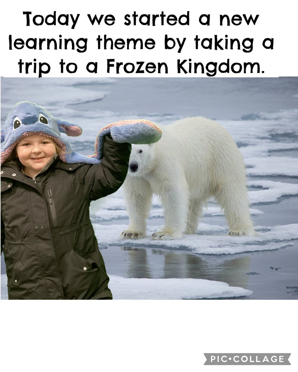 Markham Year 2 tweet media