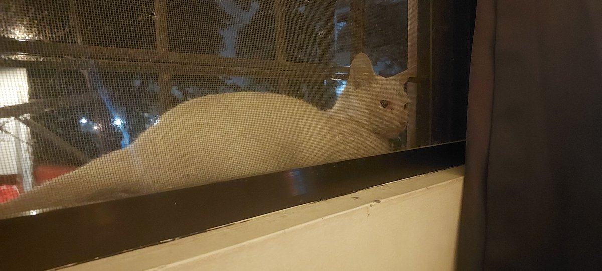 High Class Cake tweet media