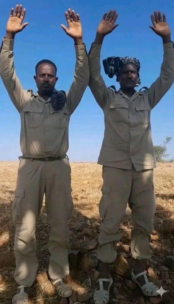 Daniel Daba tweet media