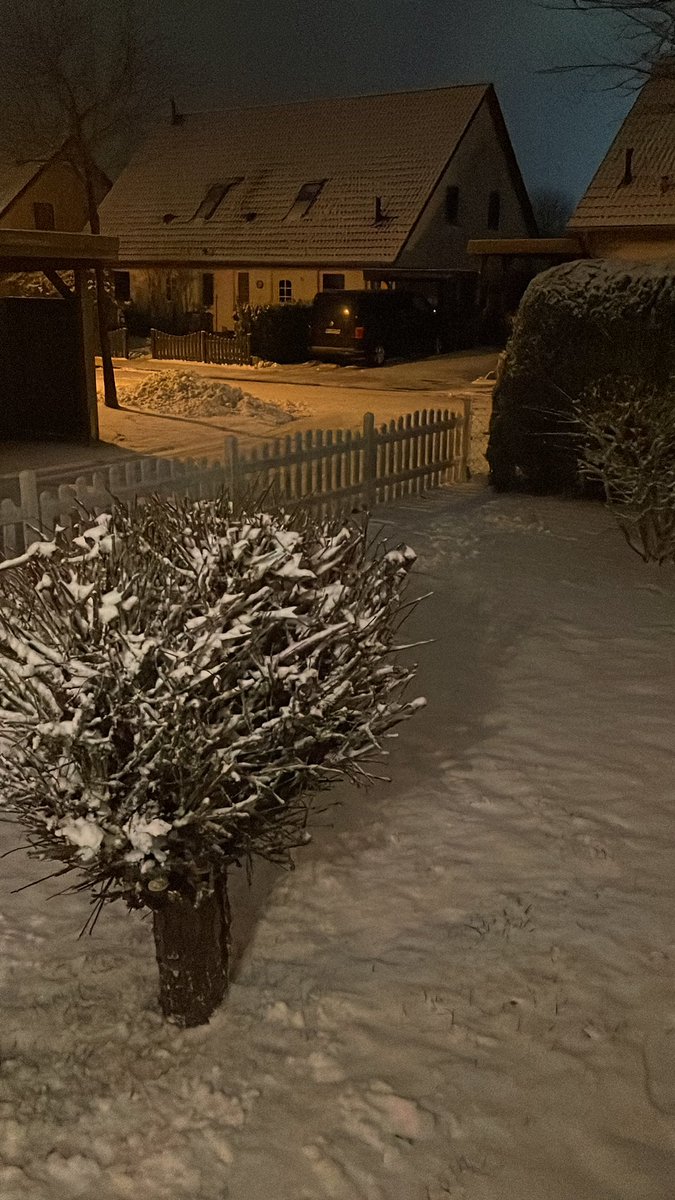 Tode Ulf tweet media