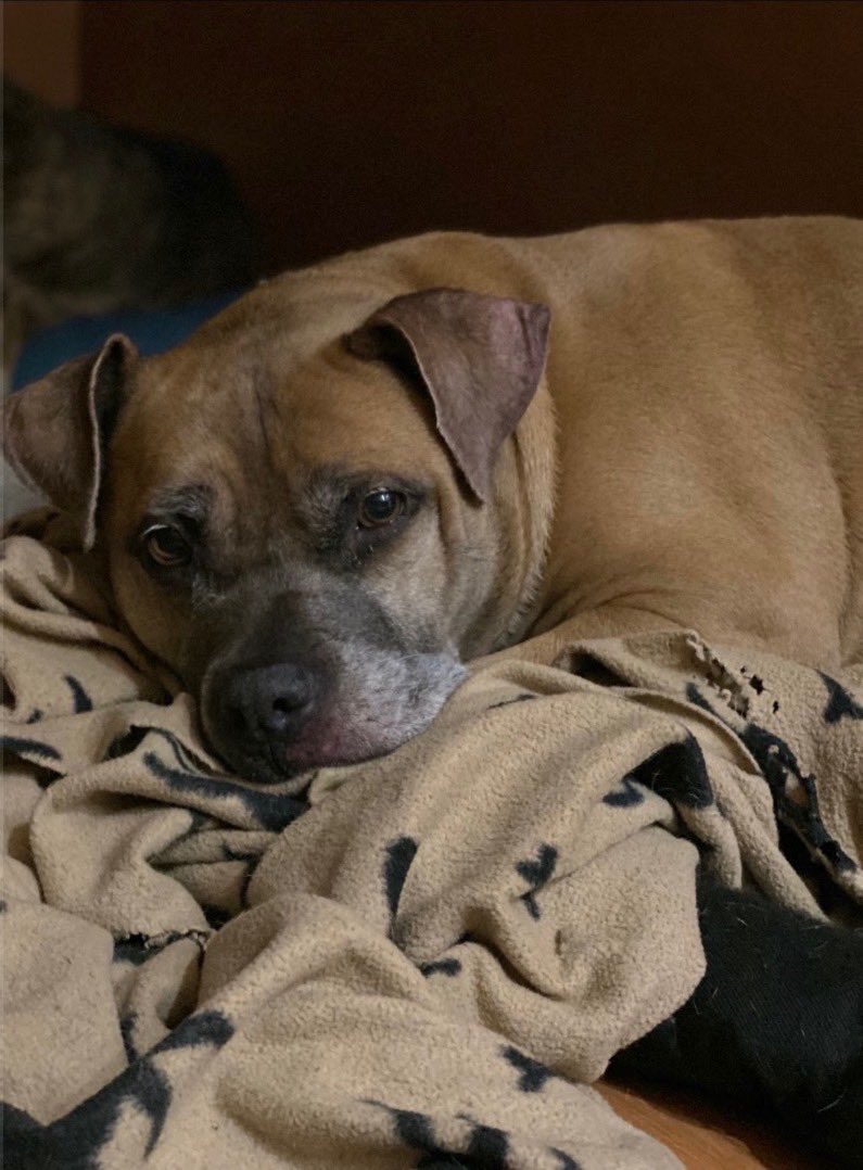 Mrs. Carissa Phillips tweet media