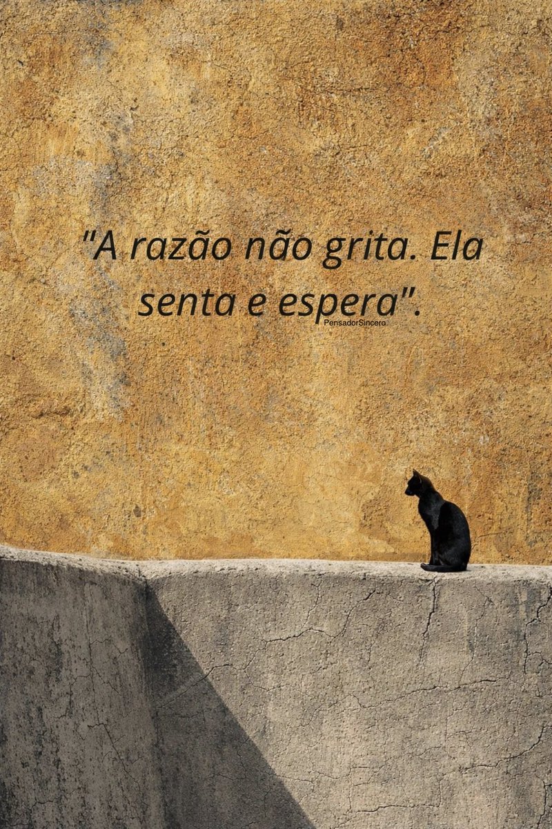 pensadorinspira's tweet photo. 💭… https://t.co/u0X8nShMmC
