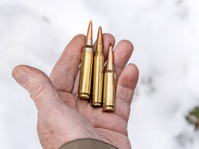 Modern Rifle Bullets: Baby Steps Toward Perfection: gundigest.com/gear-ammo/ammu…
