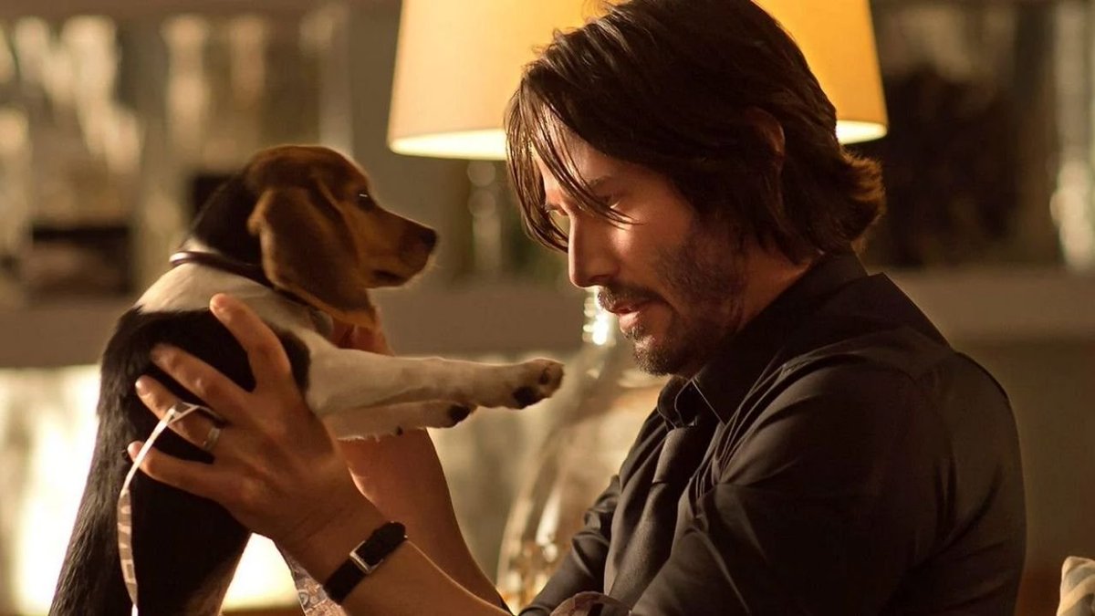 FutPrimeBrasil's tweet image. Se o mundo fosse justo, nós teríamos o nosso John Wick, para fazer justiça no caso do cachorro Orelha...
