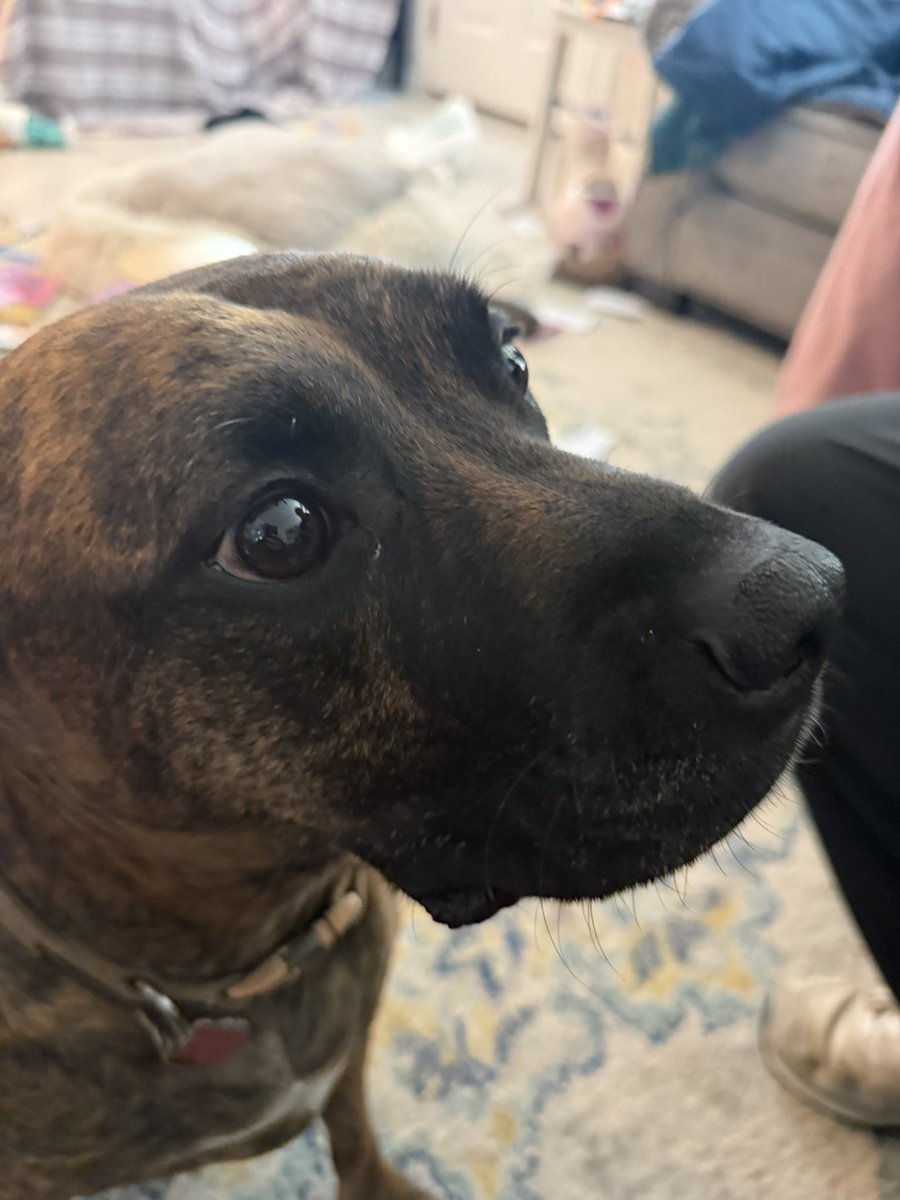 kind zon (penusaur) tweet media