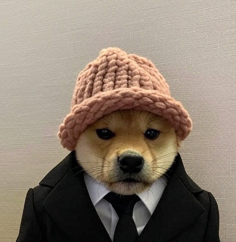 How about $wif not budging the last 48 hour?

whole market puked.. meanwhile <a href="/dogwifcoin/">dogwifcoin</a>: