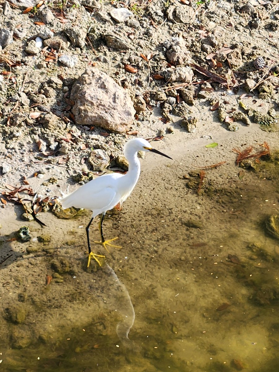 Jen Vonderwell tweet media