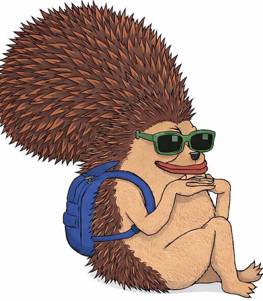 Live images of $HEDGY holders. $S