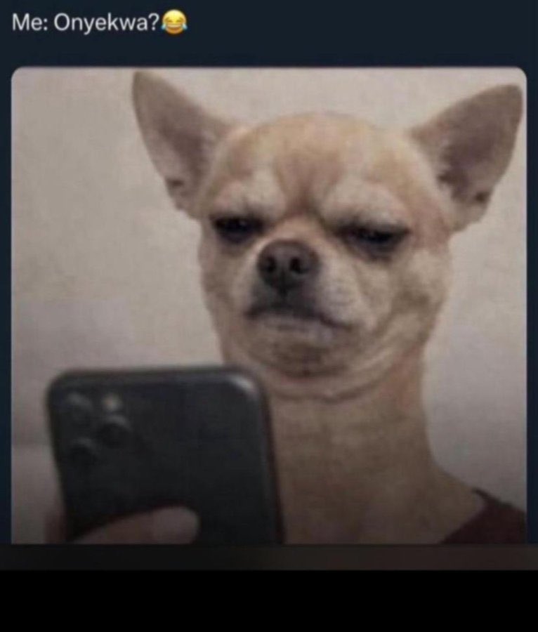 .<a href="/astrolologyls/">AstroLOLogy</a> transforms audience interaction into persistent, accountable participation by formalizing contribution and influence. Powered by <a href="/chatandbuild/">ChatAndBuild</a>, these coordination systems are created in real time where conversation becomes infrastructure and execution follows