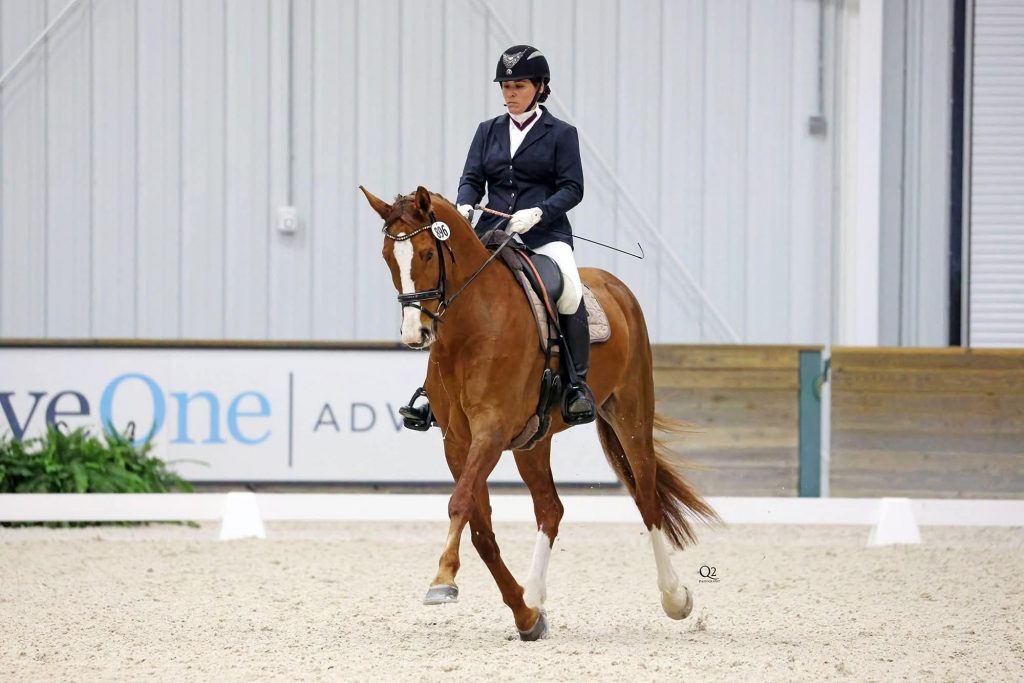 Horse Nation tweet media