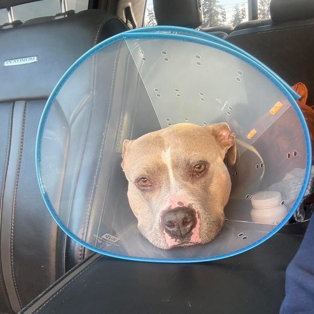 Strategic Meme Reserve tweet media