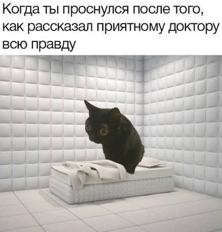 меня даже настораживает количество людей, для которых это будет реальностью, а не шуткой.