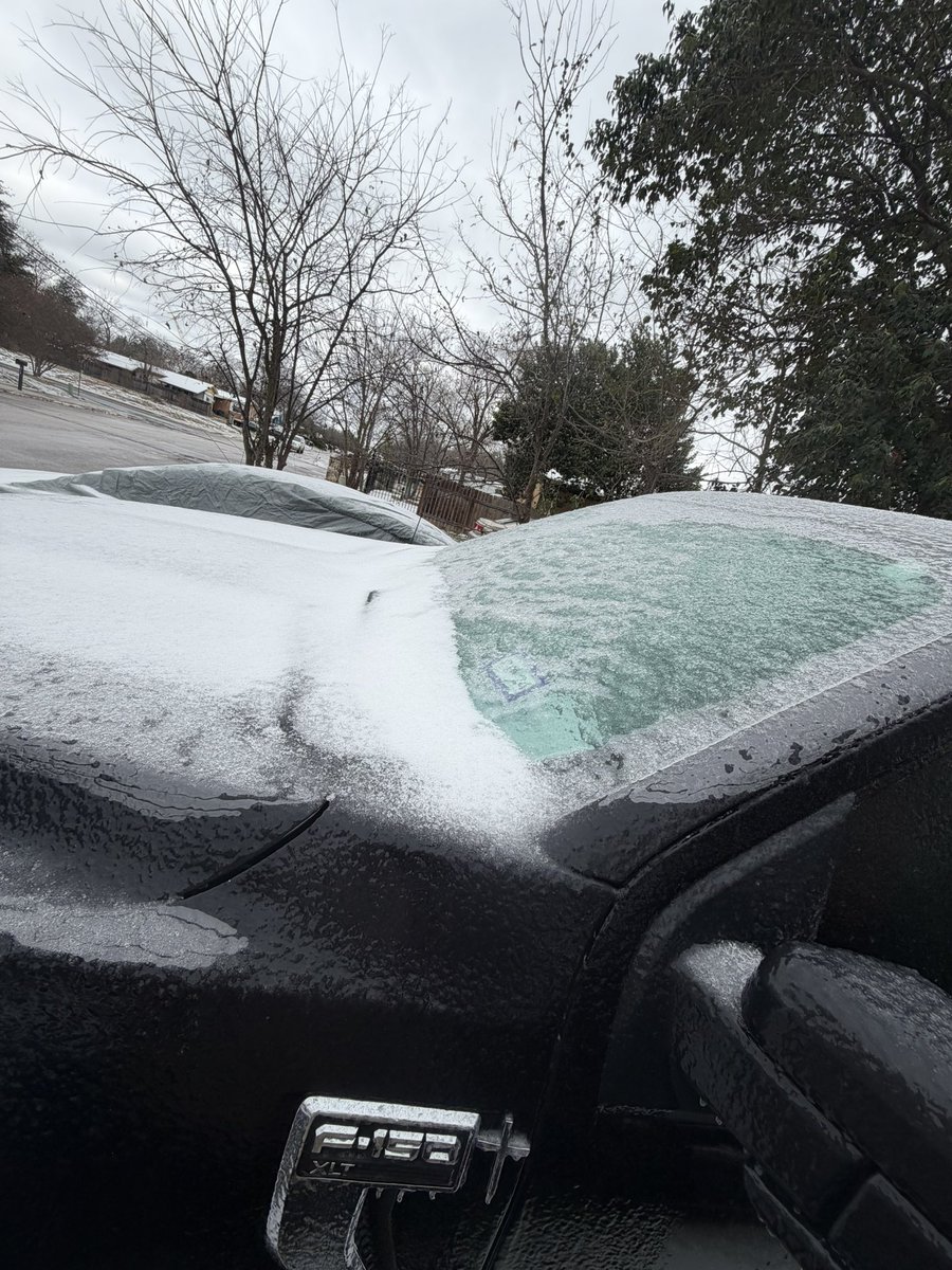 𓆝 𓆟 𓆞 𓆝 𓆟 tweet media