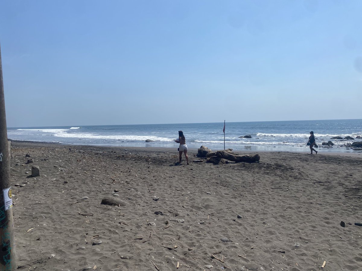 Ben Ryan tweet media