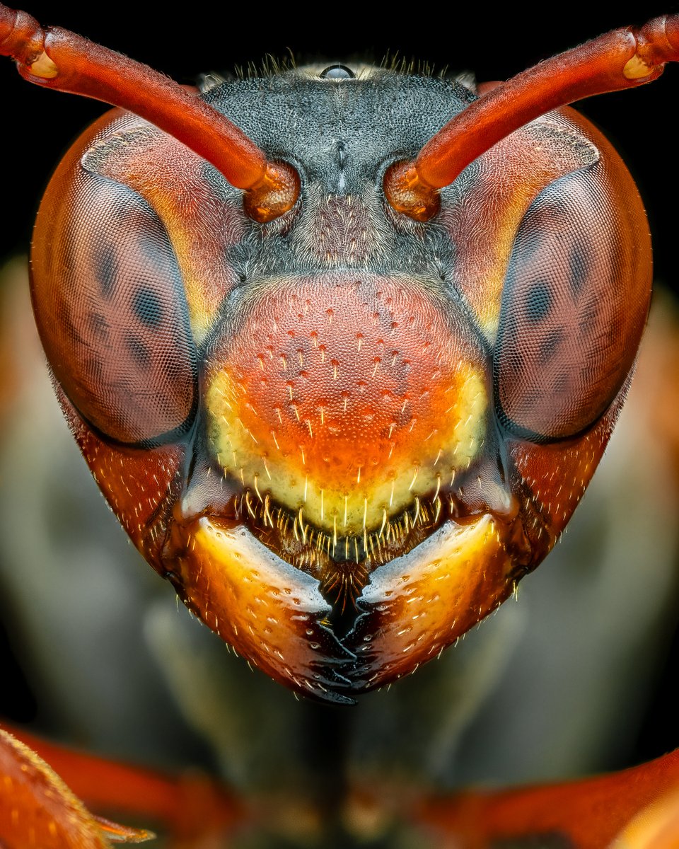 Adobe Lightroom tweet media