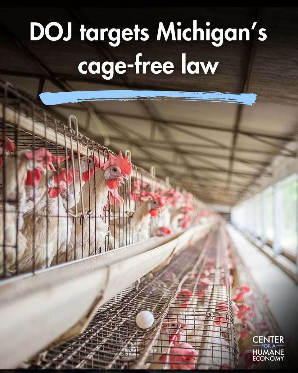 Center for a Humane Economy tweet media