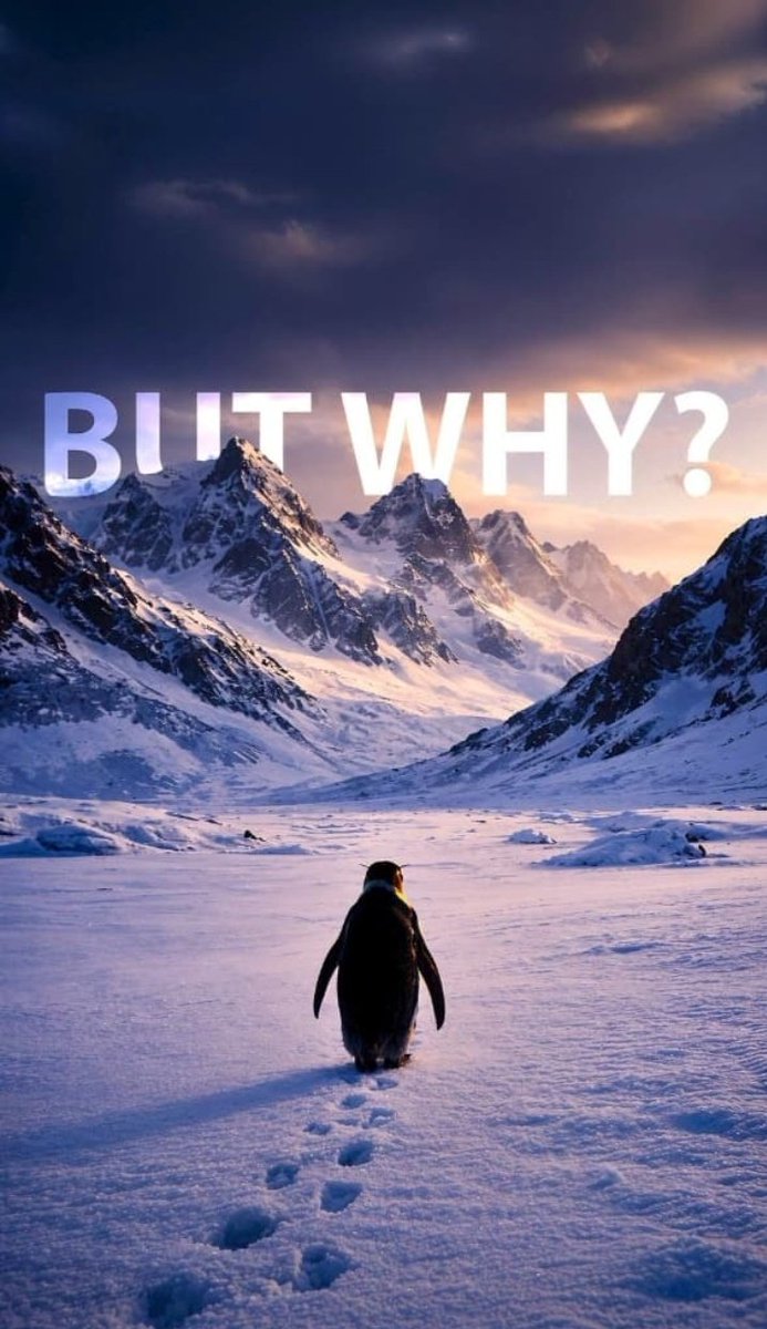 s_soni78361's tweet image. There’s a viral story abt a penguin walking twd the mountains alone... that’s how it feels to b an #Amaalians rn.🏔️🐧
We stood as a shield thru every storm,yet we’re treated like strangers. It hurts when the one u protect defends everyone but u. Is there even a place 4 us nymore?