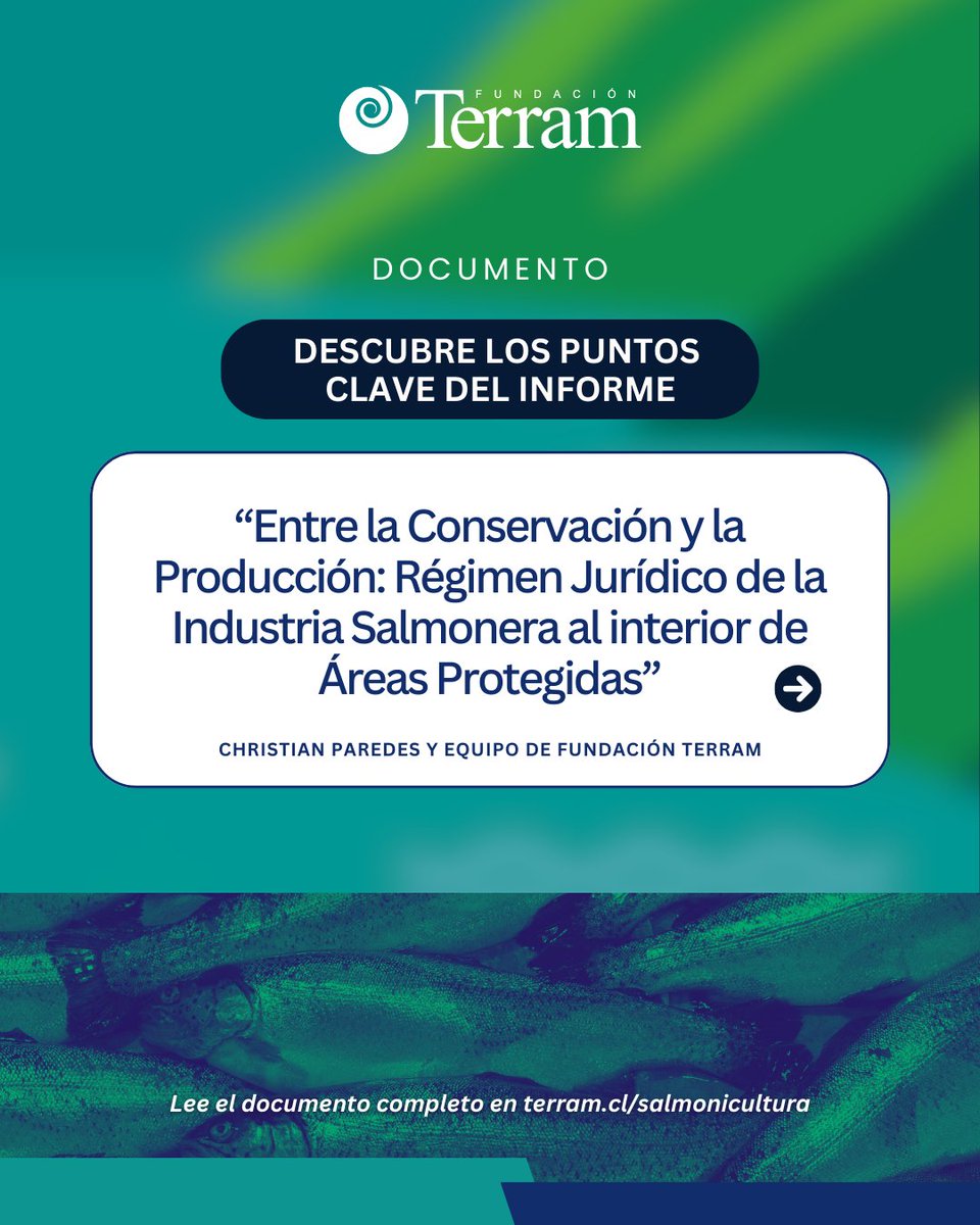 Fundación Terram tweet media