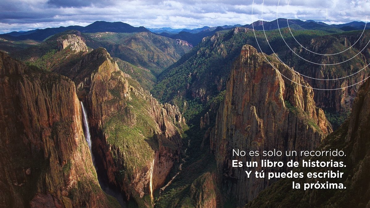 Chepe Express tweet media