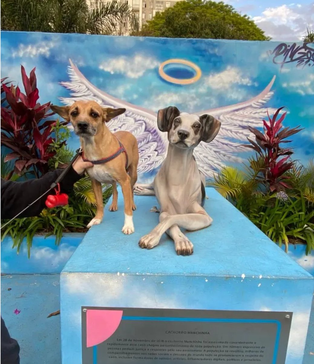 enf_intensiva's tweet image. Manchinha, aquela cachorrinha que foi brutalmente esp4nc4d4 e mort4 por um funcionário do Carrefour, ganhou um Memorial em Osasco, na Avenida Franz Voegeli, 930. 
#justicapororelha