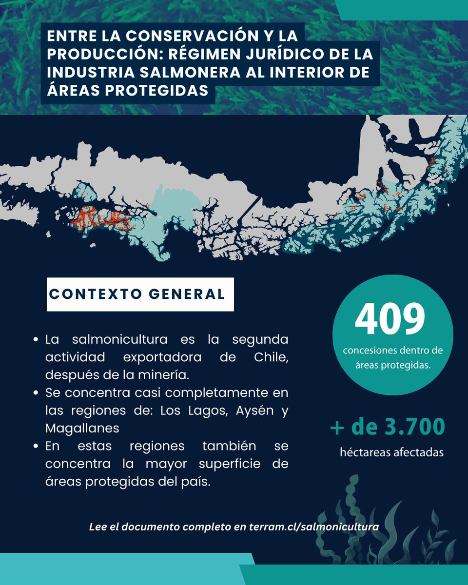 Fundación Terram tweet media