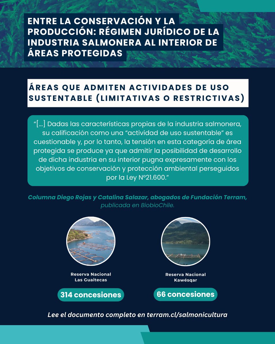 Fundación Terram tweet media