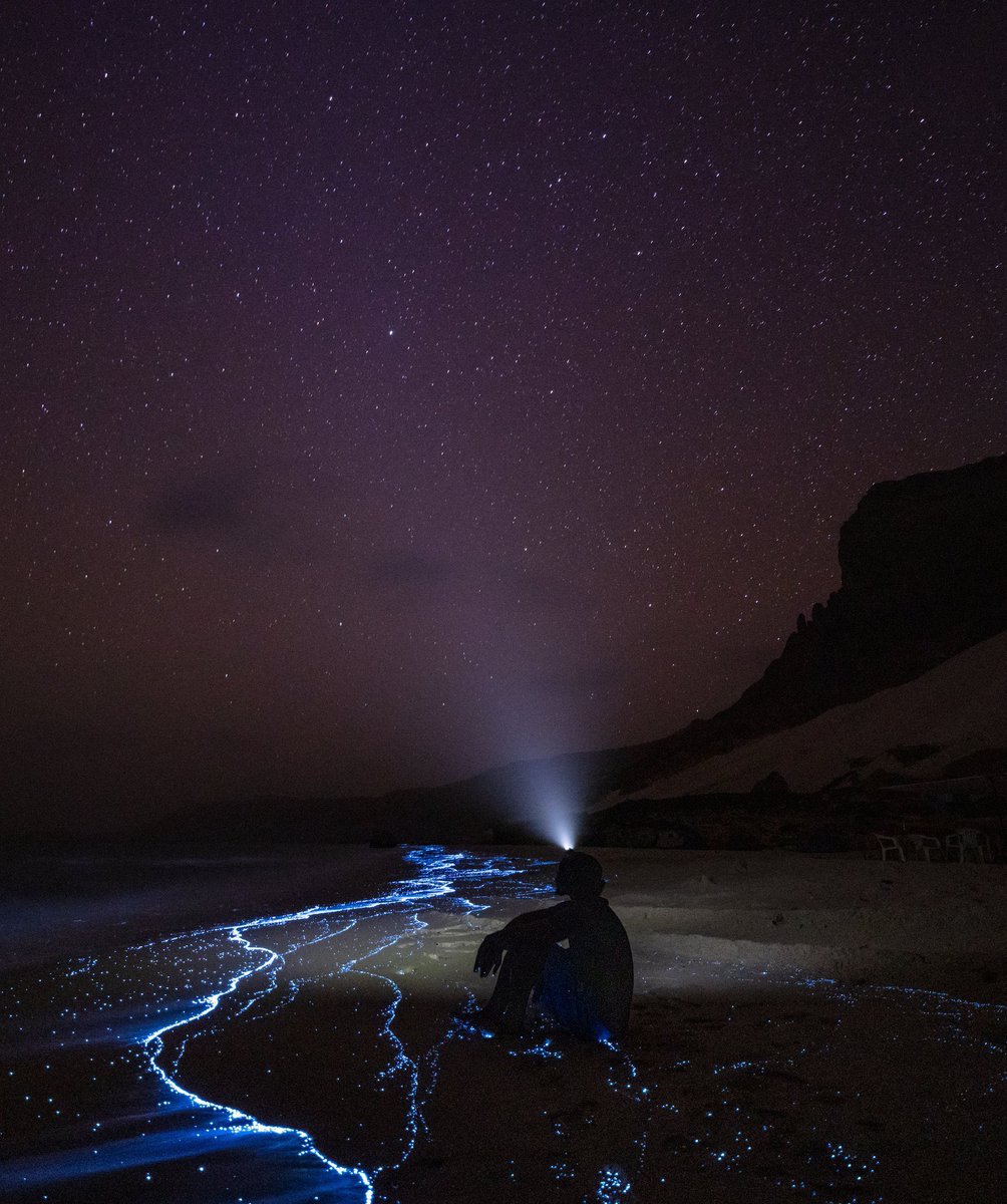 تأمل النُجوم