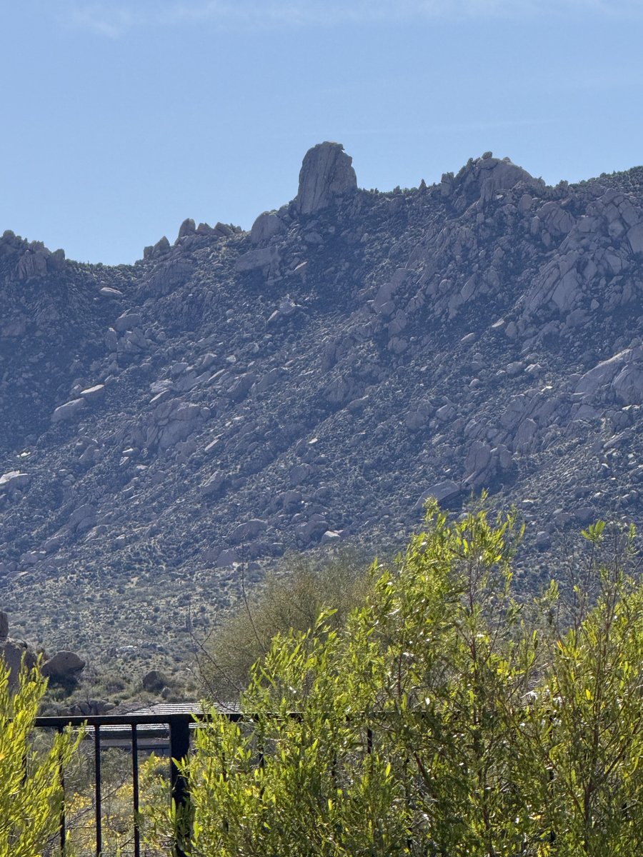 MSHOW98's tweet image. Just took my pup Winnie the golden field retriever to Tom’s Thumb. It’s about time, right in our backyard! Winnie did great, me ok