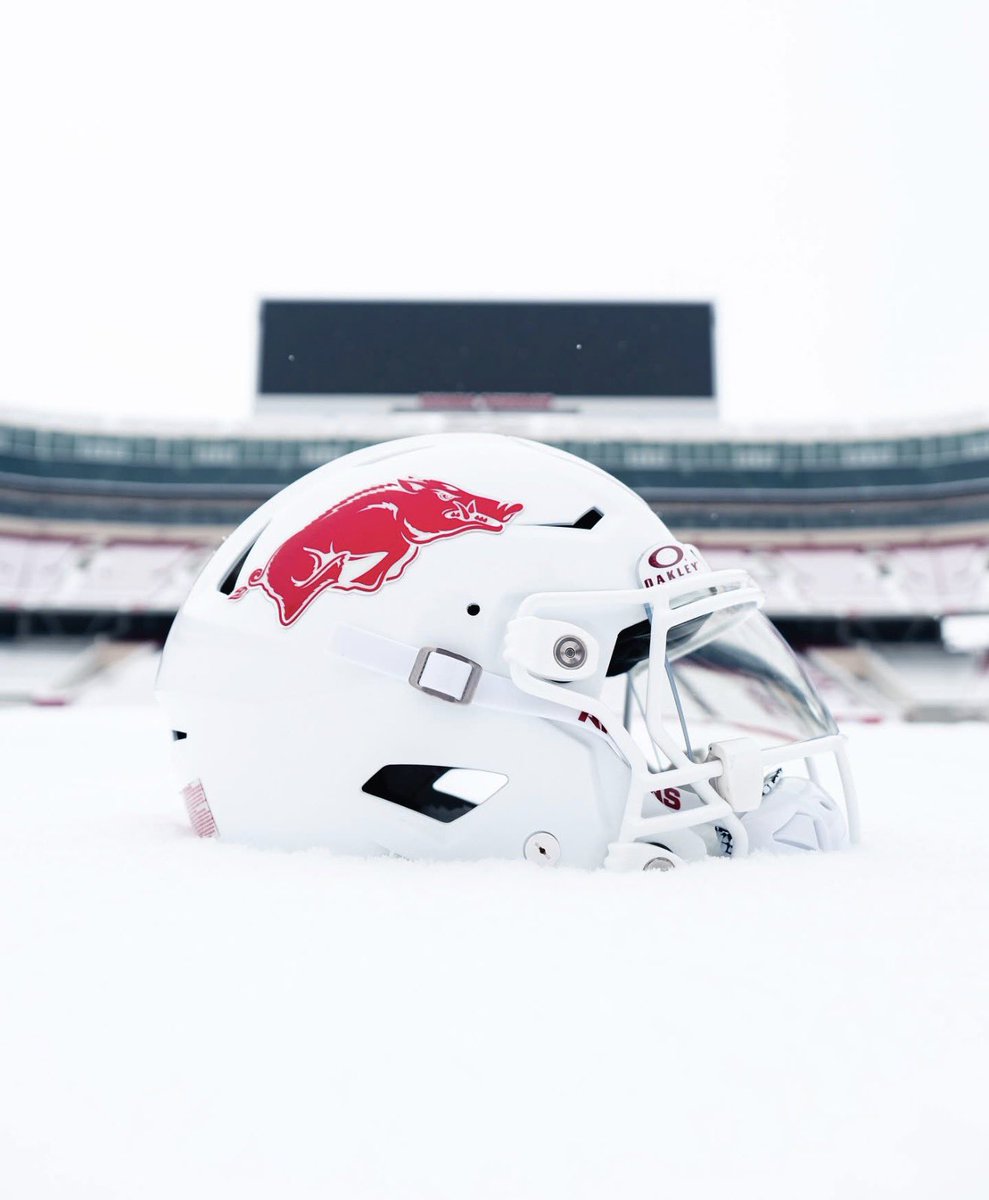 🐗Arkansas Razorback Follow train! 🐗🚂

- If you’re a hog fan comment 
“WPS” below

- follow everyone who likes your comment

- make sure to follow everyone that follows you!