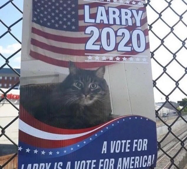 PunchingCat's tweet image. 