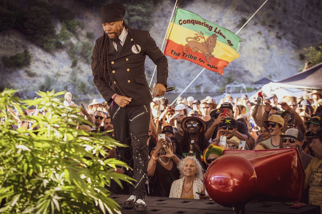 Music Coast ® tweet media