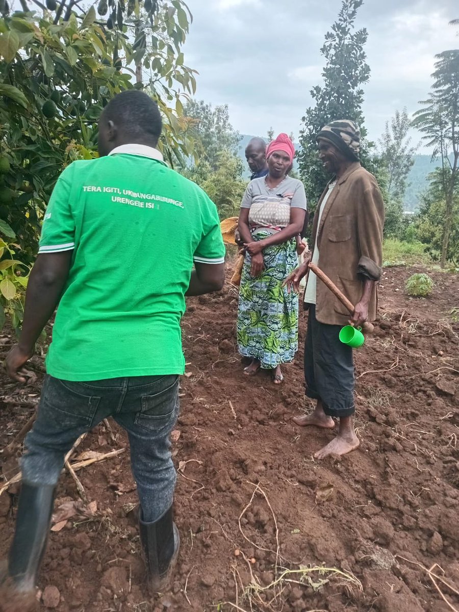 Murama Sector/KAYONZA District tweet media