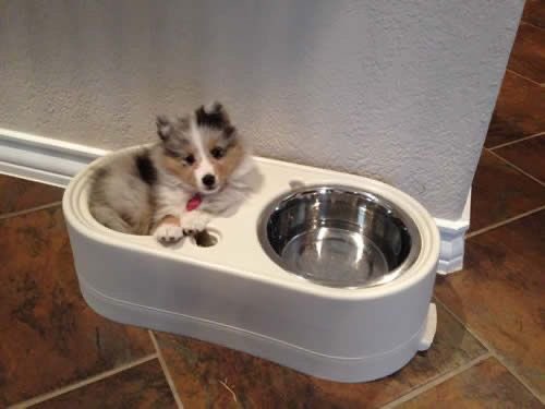 SiliGremlin's tweet image. Oh,, i see you’ve caught me in my bouwl,,,