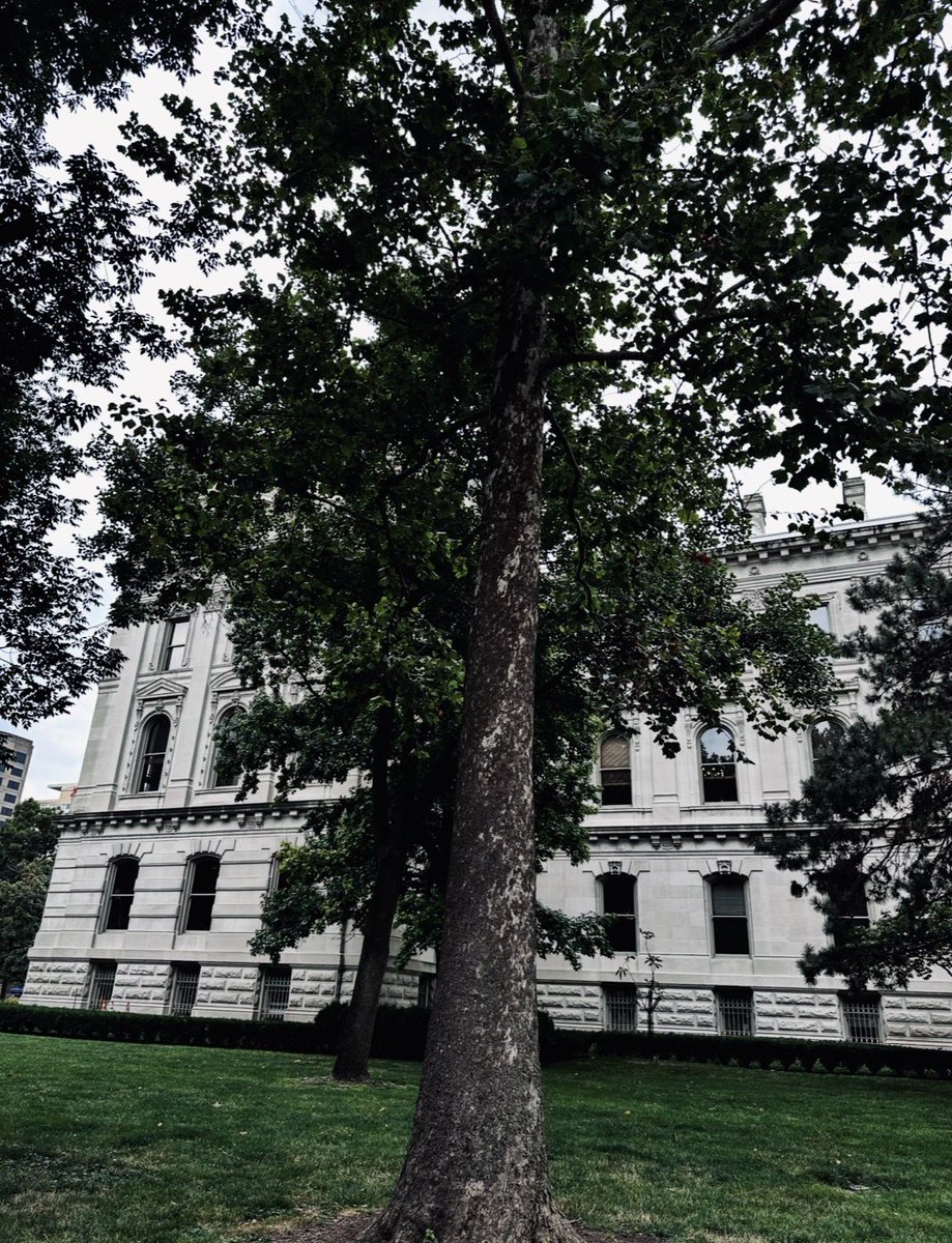 MontoyaBarker's tweet image. Snapped these shots c. 2024 of the Indianapolis Moon Tree at the Indiana Statehouse. #ApolloXIV #NASAJPL #Bicentennial @NASA @NASAJPL @indianastatehouse

More: science.nasa.gov/resource/apoll…