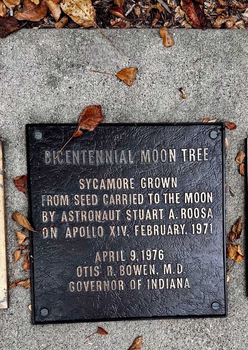 MontoyaBarker's tweet image. Snapped these shots c. 2024 of the Indianapolis Moon Tree at the Indiana Statehouse. #ApolloXIV #NASAJPL #Bicentennial @NASA @NASAJPL @indianastatehouse

More: science.nasa.gov/resource/apoll…