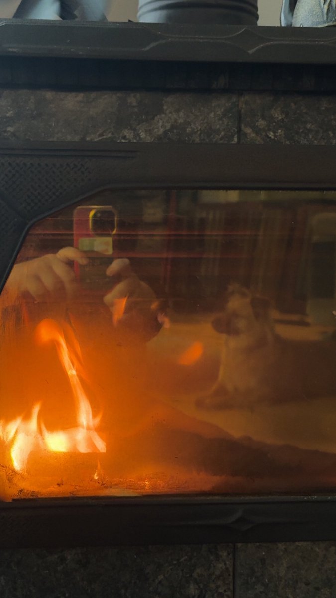 been keeping a fire going all day ft my dog popsicle