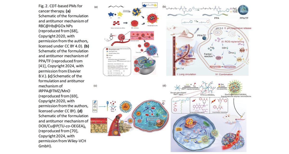 Bio-Design and Manufacturing tweet media
