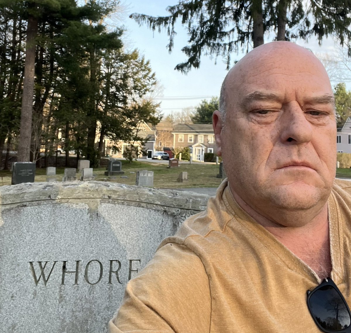 LostMemeArchive's tweet image. 