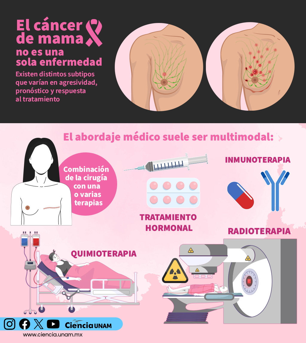 #Salud | Para los distintos subtipos del cáncer de mama existen diversos tratamientos.
Actualmente se estudia a la molécula  GK-1, una molécula que abre nuevas rutas para fortalecer las defensas del cuerpo frente a la expansión de tumores
Te contamos más:  bit.ly/4pYYBJ6