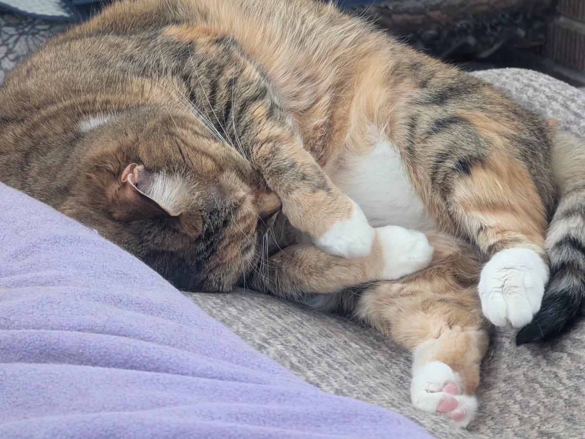 Must be nice while I slave away over here!